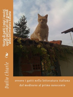 cover image of STORIE DI GATTI